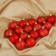 Set of balls plastic D-5 cm, 16 pcs "Star Night" red