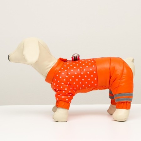 Kombinson for dogs "peas", size 16 (DS 30 cm, OG 44 cm, Osh 34 cm), red-3