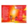 The folder "Portfolio of the student in primary school", 8 letters, A4