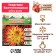 Georgina Cactus-shaped "Bora Bora", rr I, 1 pc,