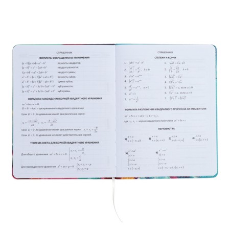 Universal diary for grade 1-11 Candy Cat, hard cover, artificial leather, foam rubber, lies, 80 g/m2-8
