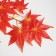 Decor "Leaves on the branch" Red color