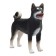 Figure Konik "Siba-Inu, Black"