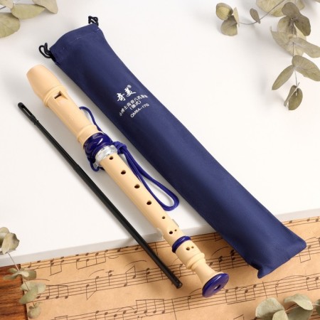 Music Life Blockflate, 8 holes, blue cover, ramrod, 30 cm