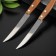 Set of kitchen knives for meat Tramontina TradeCional, 2 pcs, blade 12.7 cm