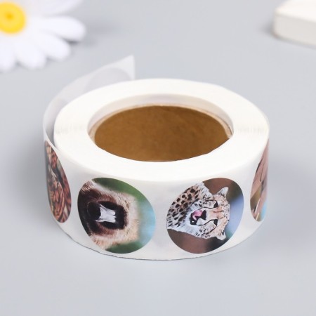 Stick Paper "Wild Beasts" d = 2.5 cm 500 pcs in a roll 3x6.5x6.5 cm-2