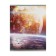 Notebook 48 sheets in a cage, Space, cover coated cardboard, twin-fluid, block 60g/m2, mix