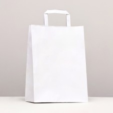 Craft package without printing, white, flat handle 22 x 12 x 29 cm