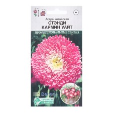 Flowers of Astra Chinese Standy Carmin White, 10 pcs