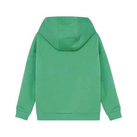 Sweatshirt with a hood for a boy, height 134 cm, green color-2