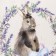 Ethel towel Lavender Garden 40x73 cm, 100% HL, sarzha 190 g/m2