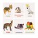 Developing cards "Pets"