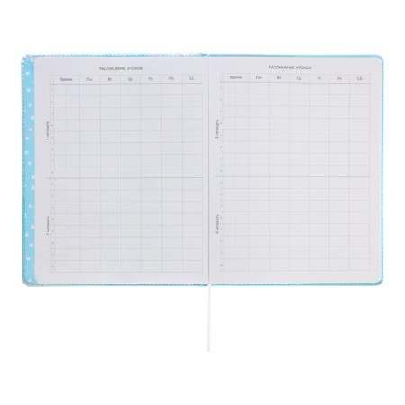Universal diary for grade 1-11 Cool Girl, hard cover, artificial leather, silkography, lies, 80 g/m2-5
