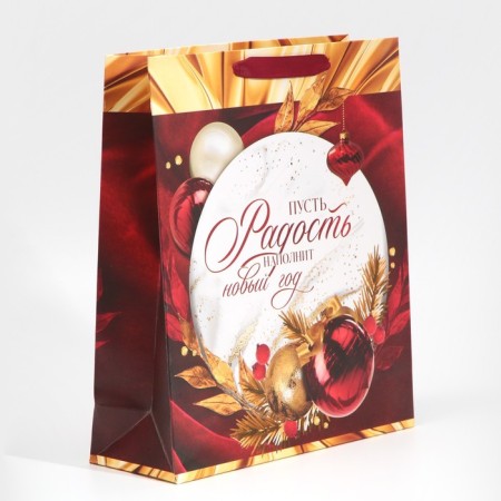 Package laminated vertical “joy next to you”, m 26 x 30 x 9 cm, new year-1