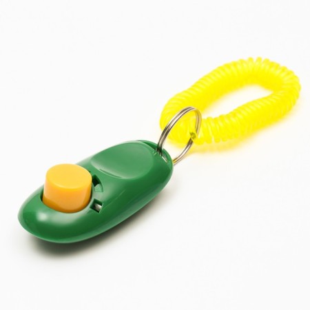 Clider for training dogs with a bracelet on the hand, green-1