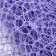 Crooster flowers mesh, lavender, 0.5 x 4.5 m