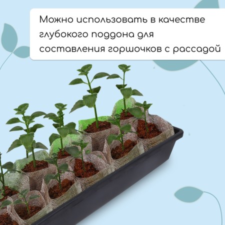 Box for seedlings 60 x 14.5 x 9 cm, 9 l, MIX color 2846182-3