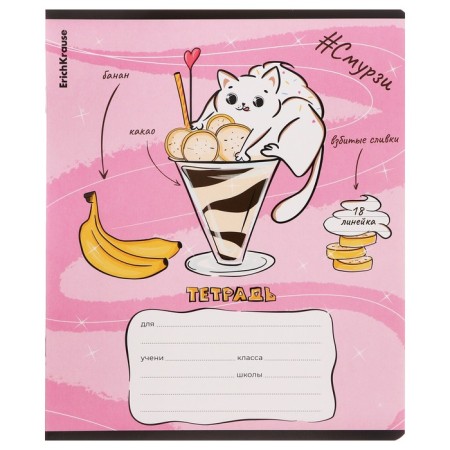Notebook of 18 sheets in the Erichkrause "Smoothy", cover coated cardboard, mix-8