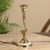 Climb "Feathered" 19 cm, brass