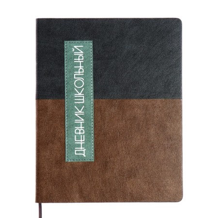 Universal diary for grades 1-11 "Geometry", solid cover of artificial leather, silkography, lies, 48 ​​sheets, black-brown