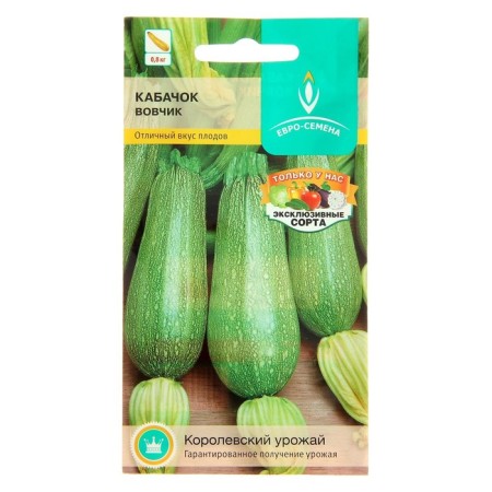 Semen zucchini "Vovchik", early adhesive, white -fruited, universal, 1 g-5