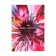 A4 notebook, 96 sheets in the Kaleidoscope cage, covered cardboard, glossy lamination, block 65 g/m2, 3v mix