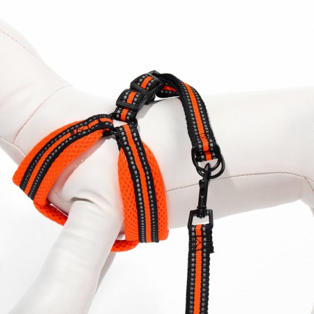 The ammunition kit is soft, reflective, leash 120 x 1.5 cm, Osh 35-53 cm, orange-5