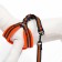 The ammunition kit is soft, reflective, leash 120 x 1.5 cm, Osh 35-53 cm, orange
