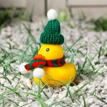 Duck with a scarf, yellow color, in a hat-1