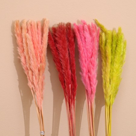 Set of dried flowers 80 cm (10 pcs) Mix color-2