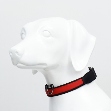 Collar with flash light 3 light modes, size m, Osh 40-48 x 2.5 cm, red-2