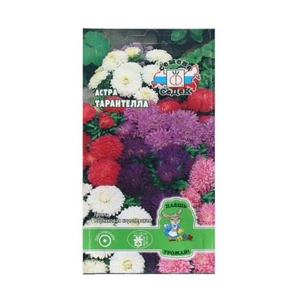 Seeds Flower Astra "Tarantella" 0.1 g