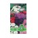 Seeds Flower Astra "Tarantella" 0.1 g
