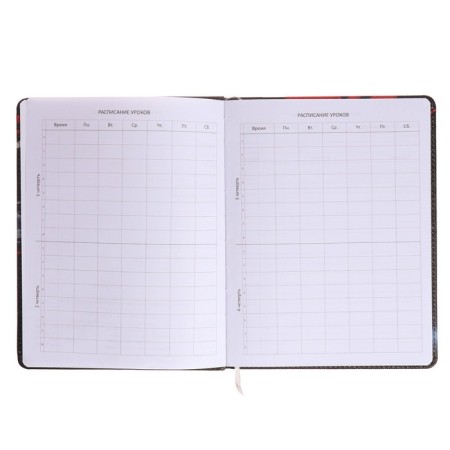 Universal diary for grade 1-11 Born for Speed, solid cover, artificial leather, foam rubber, liesse, 80 g/m2-4