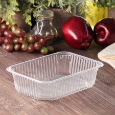 Container plastic disposable 