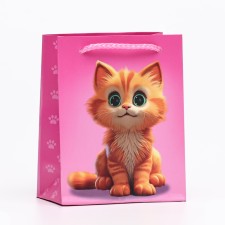 Gift package 