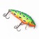 Wobbler Akara Goby 65F, color A117, 5 cm, 8 g