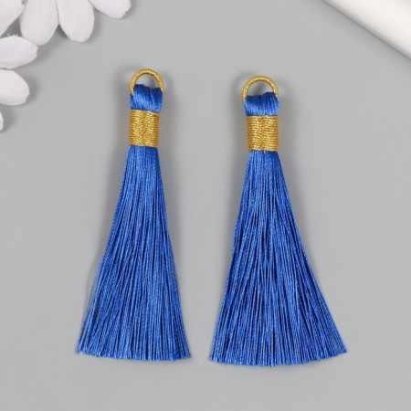Decor for creativity textiles "Brush. Olivia" Blue set 2 pcs 8x1.2 cm