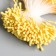 Stamens for flowers "Dropping yellow" D = 1.5 mm set 400 pcs length 6 cm