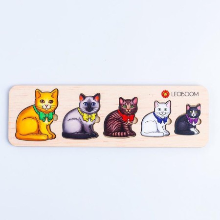 Lessons "kittens"