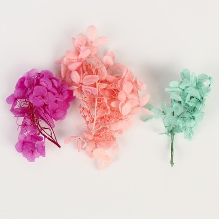 Set of dried flowers "Hydrangea"-1