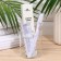 Dental set in cardboard, a toothbrush 14 cm.+ Toothpaste Sasha 4 ml