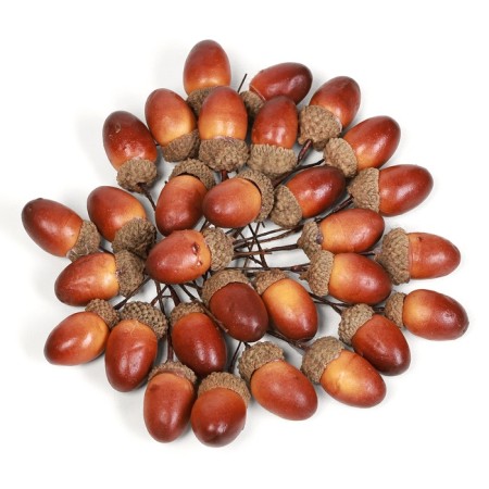 Set of plugs "Acorn" 30pcs, 3x2cm-3