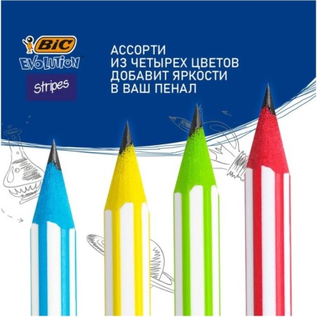 A set of pencils of black -graphic 4 pieces "Evolution Stripes", HB, strips-5