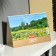 Desktop calendar, house "native spaces" 2025, 14 x 20 cm