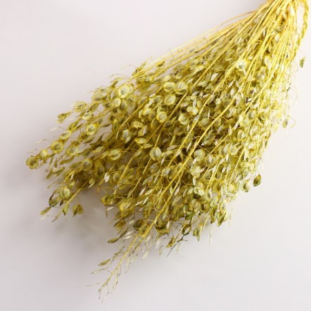 Set of dried flowers "Monetnik", banch length 60 (+/- 6 cm), green-2