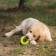 Chewing toy for dogs "Tire" 9 cm, light green