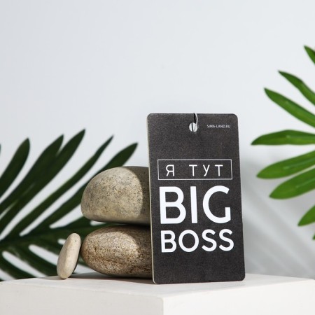Cardboard fragrance "Boss", aroma ocean-2