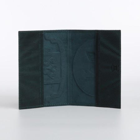 Cover for passport, green color-5