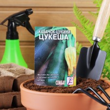 Zucchini zucchini seeds 